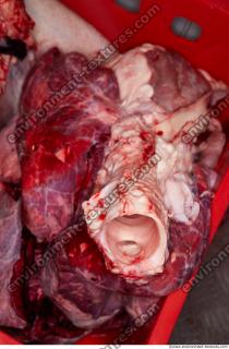 RAW meat pork 0119